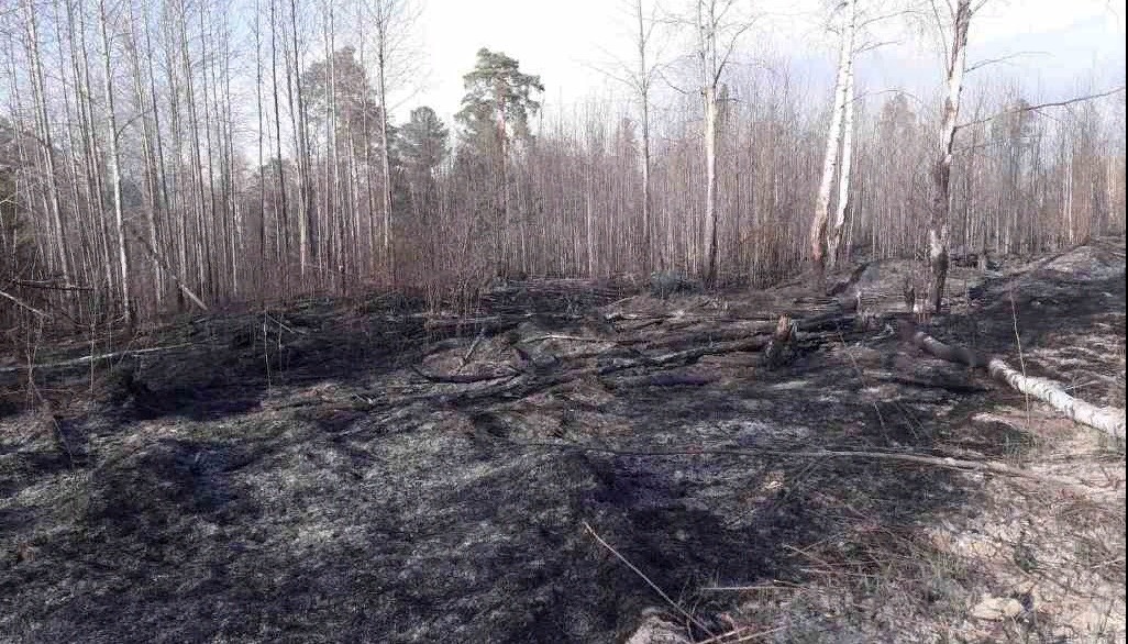 Пожароопасный период в ХМАО 2023. Когда будет пожароопасный период в Иркутской области.